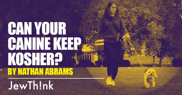 Can Your Canine Keep Kosher?