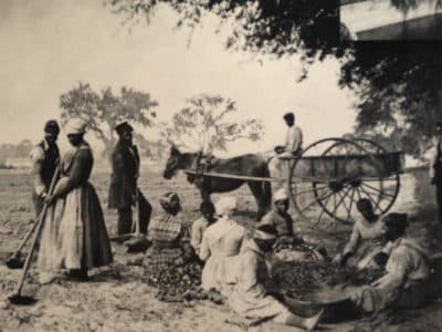 'Is It Good for the Jews?' is giving us a moral blindspot